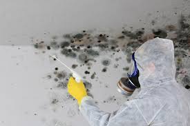 Best Mold Remediation for Rental Properties  in Ceres, CA